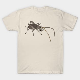 Weta biggest insect T-Shirt